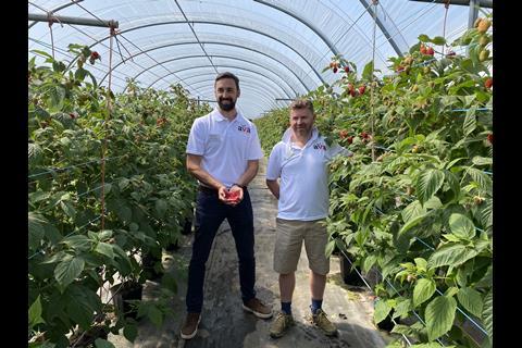 Angus Soft Fruits' David Buxcey (left) and John Gray show off AVA Monet